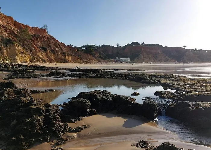 Paradise In Olhos D'água Albufeira
