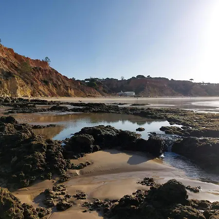 Paradise In Olhos D'água Albufeira